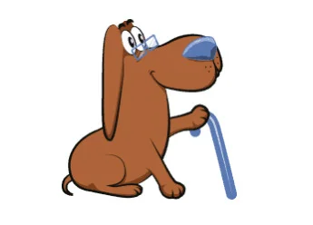 O Curso de Cuidados com Cães Idosos vale a pena e transforma a vida do pet, que aparece relaxado e sem dor em um ambiente acolhedor.