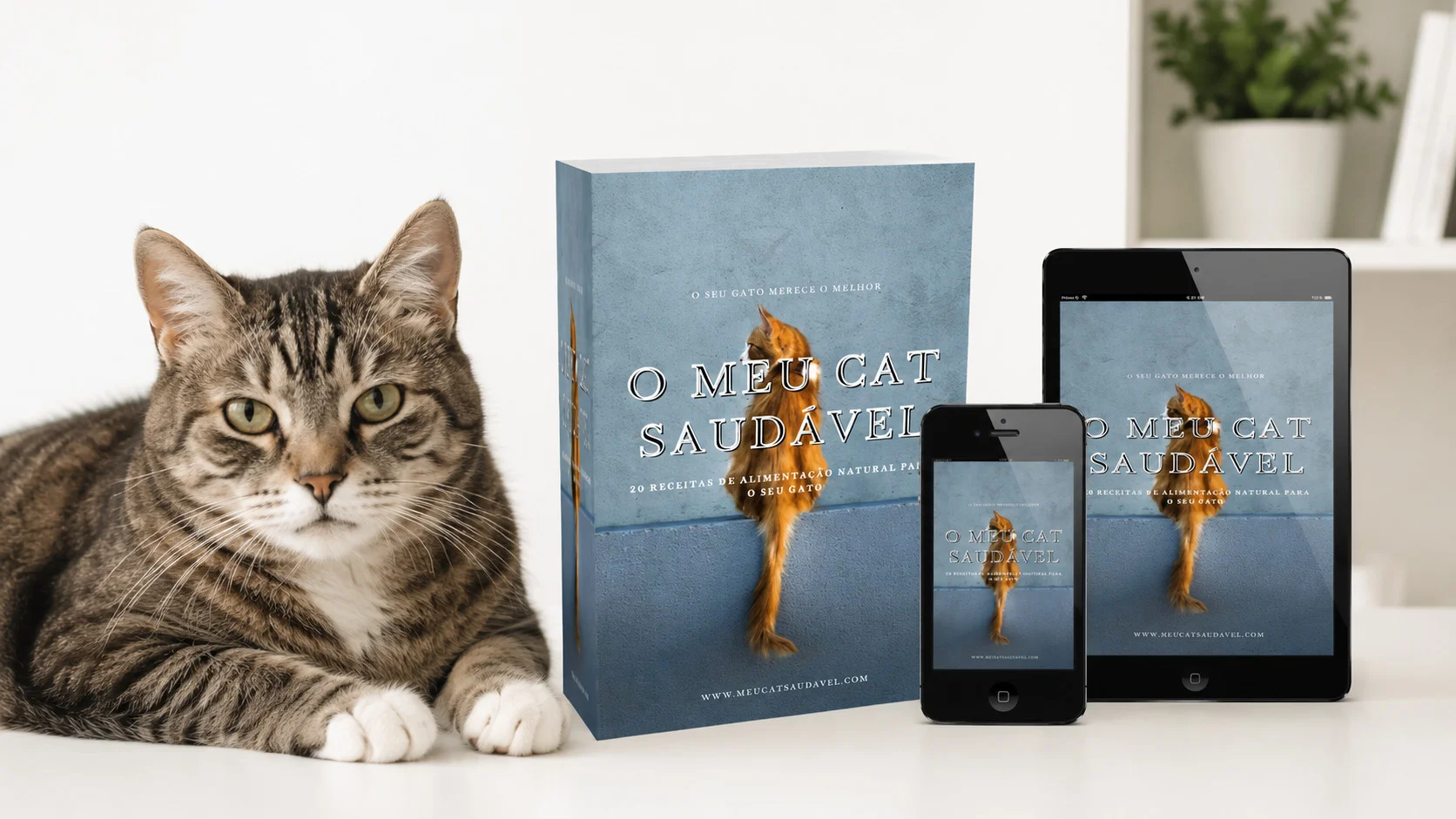 O Livro Meu Cat Saudável Vale a Pena e aumenta significativamente a qualidade de vida do gato sênior através da alimentação fresca.